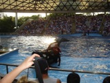 Sea World